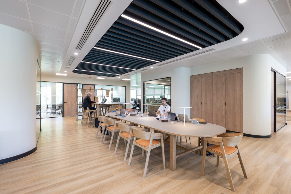 Considered office layout balancing open plan and enclosed spaces