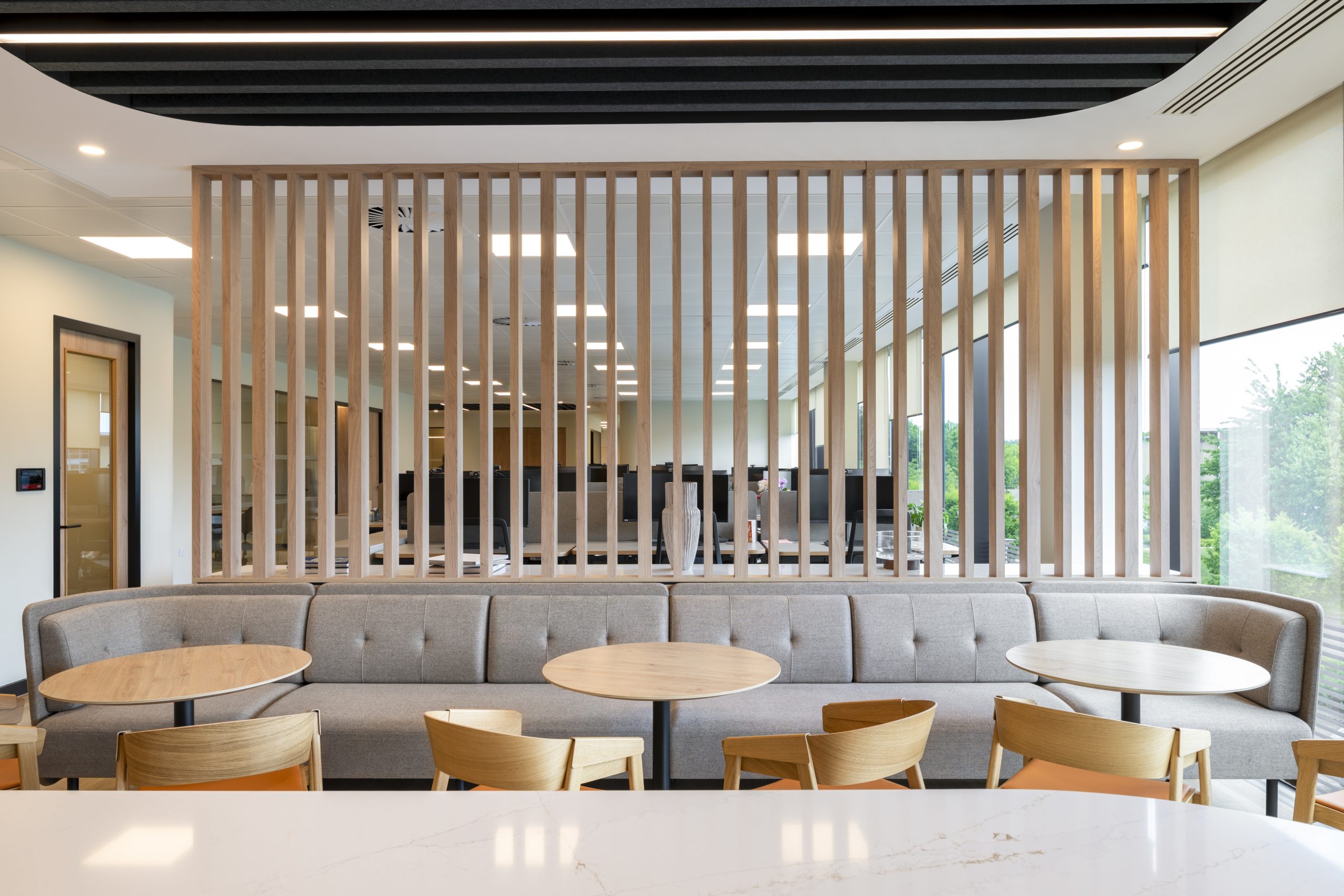 Modern collaborative office space with natural light and quality finishes